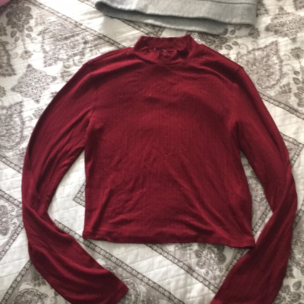 Long Sleeve Crop Top